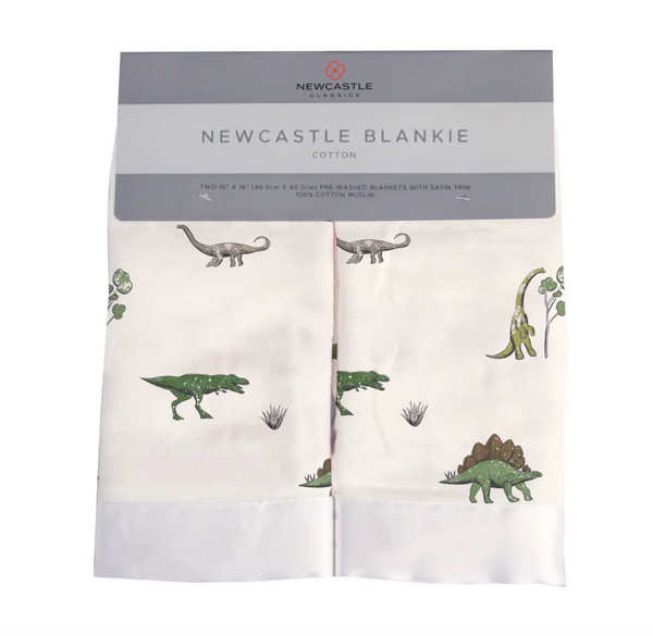 Dino Days Newcastle Blankie's